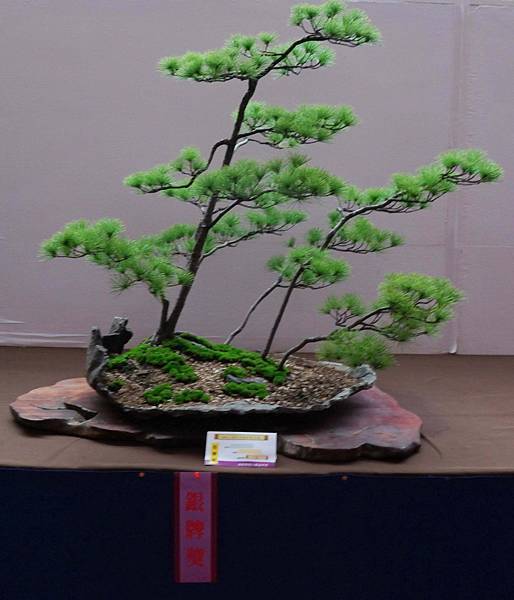 DSC_6786.jpg DSC_6786.jpg