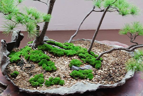 DSC_6788.jpg DSC_6788.jpg