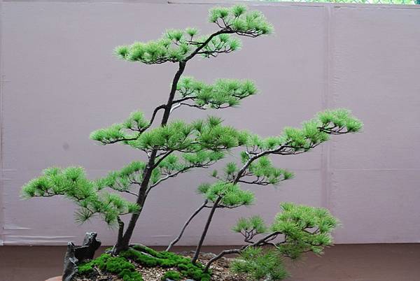 DSC_6789.jpg DSC_6789.jpg