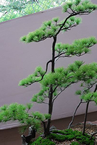 DSC_6790.jpg DSC_6790.jpg