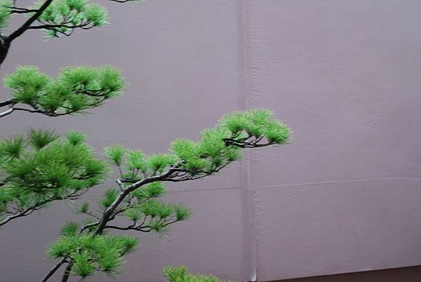 DSC_6792.jpg DSC_6792.jpg