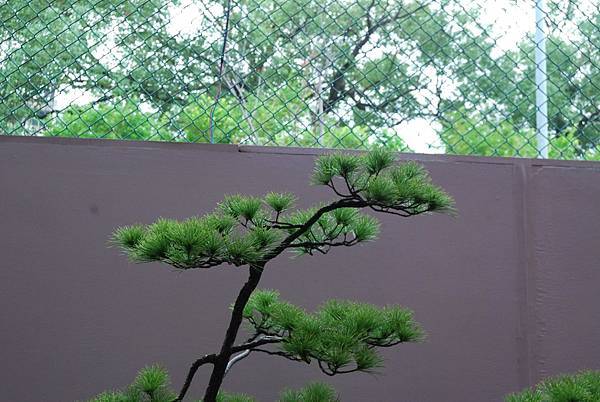 DSC_6791.jpg DSC_6791.jpg