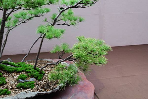 DSC_6793.jpg DSC_6793.jpg