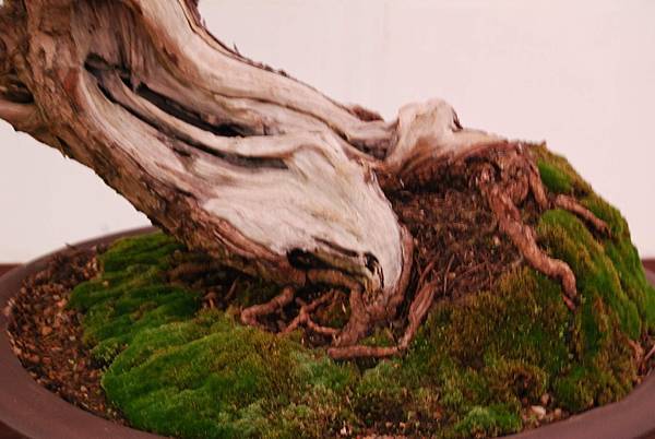 DSC_6797.jpg DSC_6797.jpg