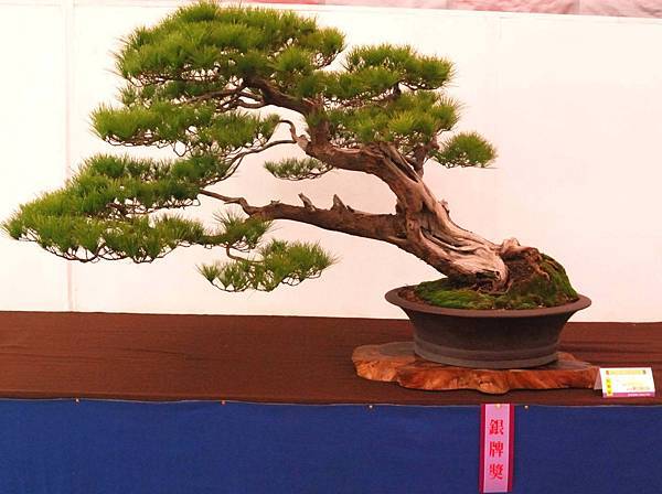 DSC_6795.jpg DSC_6795.jpg