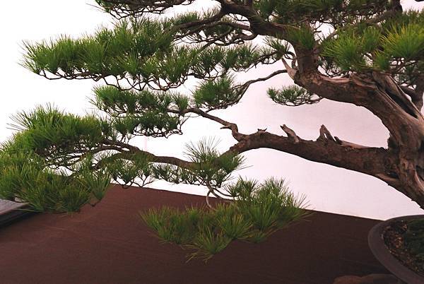 DSC_6801.jpg DSC_6801.jpg