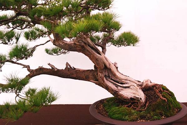 DSC_6800.jpg DSC_6800.jpg