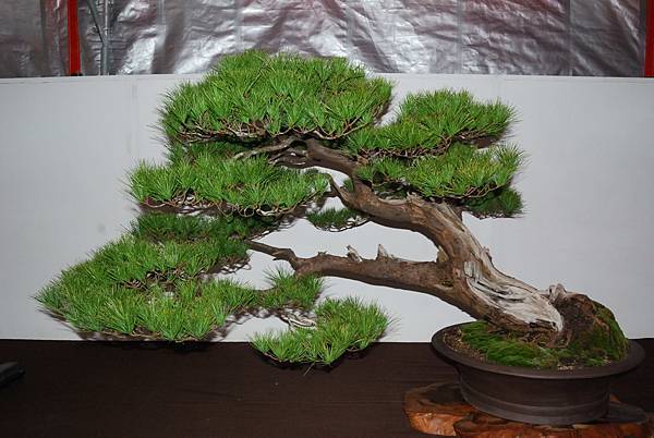 DSC_6805.jpg DSC_6805.jpg