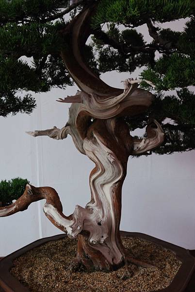 DSC_6809.jpg DSC_6809.jpg