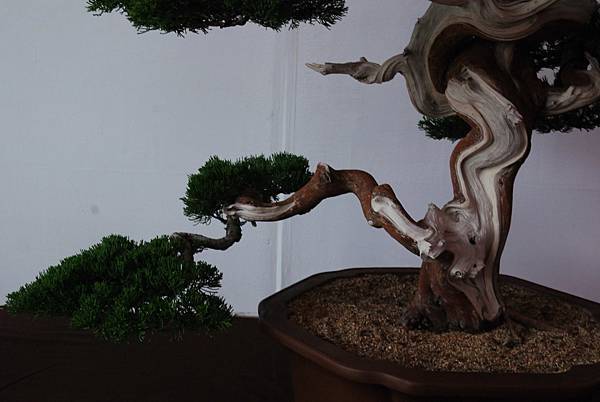 DSC_6810.jpg DSC_6810.jpg