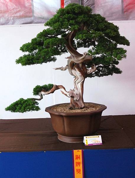 DSC_6807.jpg DSC_6807.jpg