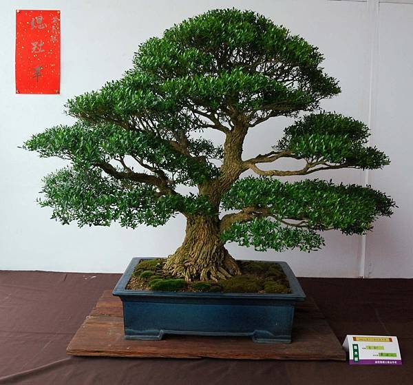 DSC_6814.jpg DSC_6814.jpg