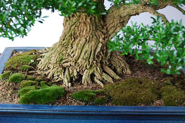 DSC_6816.jpg DSC_6816.jpg