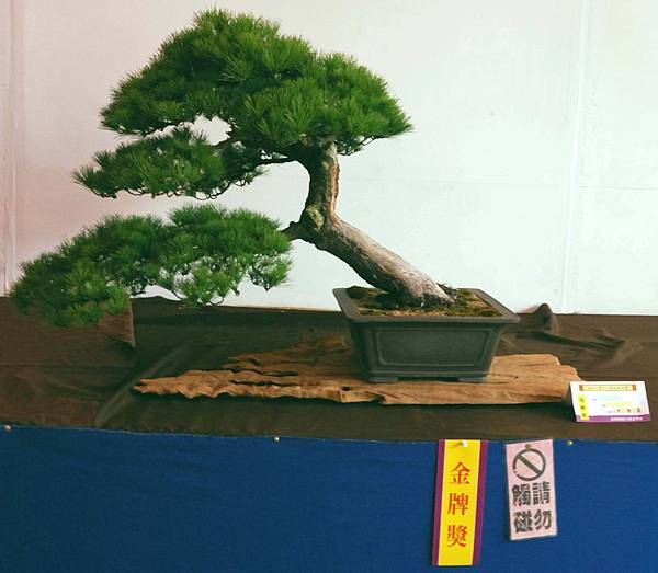 DSC_6827.jpg DSC_6827.jpg