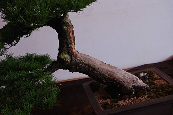 DSC_6830.jpg DSC_6830.jpg