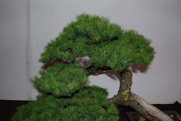 DSC_6835.jpg DSC_6835.jpg