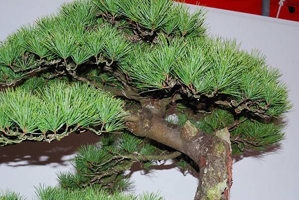 DSC_6836.jpg DSC_6836.jpg