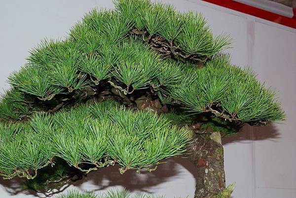 DSC_6837.jpg DSC_6837.jpg