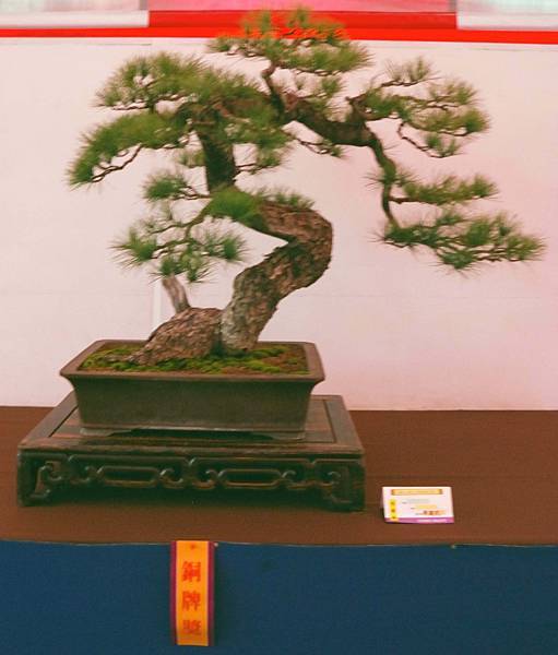 DSC_6840.jpg DSC_6840.jpg