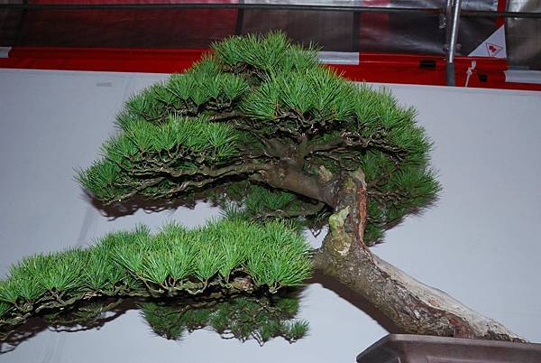 DSC_6838.jpg DSC_6838.jpg