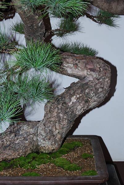 DSC_6843.jpg DSC_6843.jpg