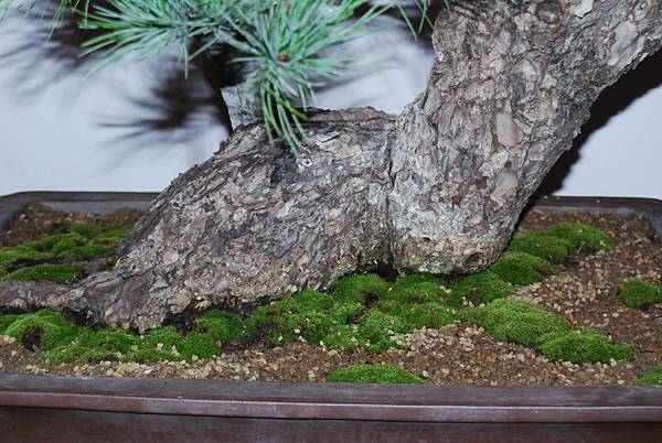 DSC_6842.jpg DSC_6842.jpg