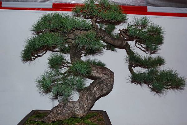 DSC_6844.jpg DSC_6844.jpg