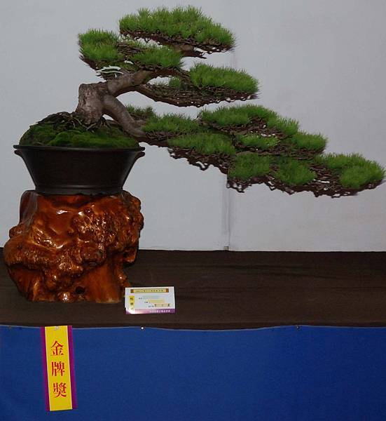 DSC_6845.jpg DSC_6845.jpg