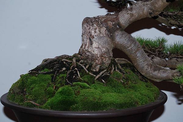 DSC_6849.jpg DSC_6849.jpg