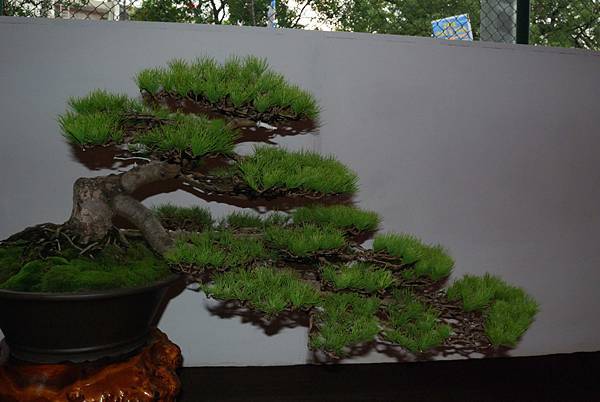 DSC_6850.jpg DSC_6850.jpg