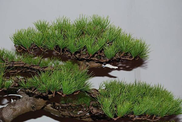 DSC_6851.jpg DSC_6851.jpg