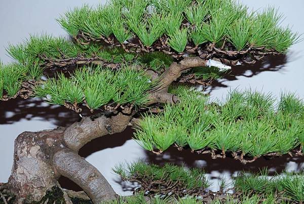 DSC_6852.jpg DSC_6852.jpg