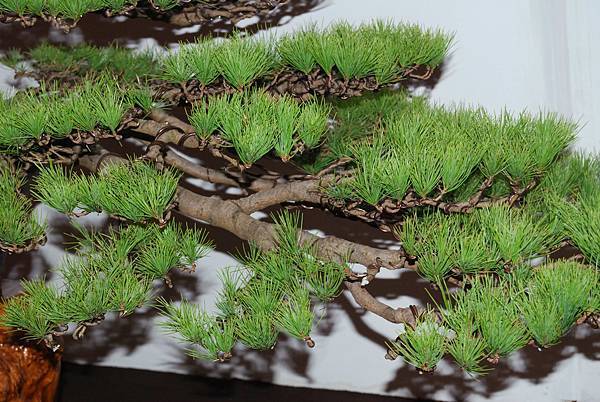 DSC_6853.jpg DSC_6853.jpg