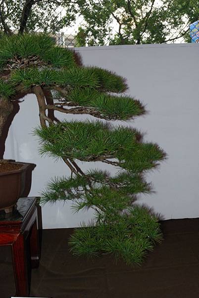 DSC_6857.jpg DSC_6857.jpg