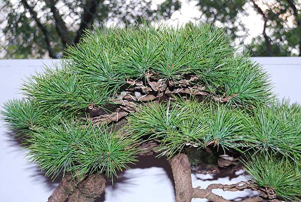 DSC_6858.jpg DSC_6858.jpg