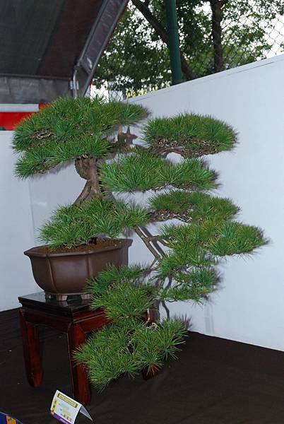 DSC_6860.jpg DSC_6860.jpg