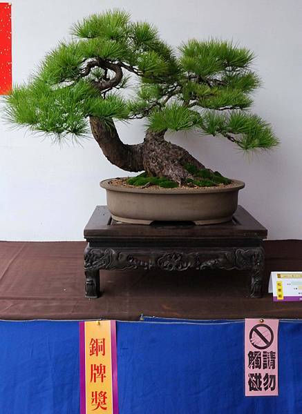 DSC_6862.jpg DSC_6862.jpg