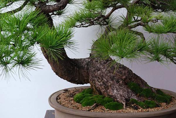 DSC_6864.jpg DSC_6864.jpg