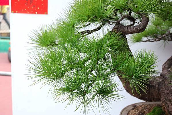 DSC_6866.jpg DSC_6866.jpg