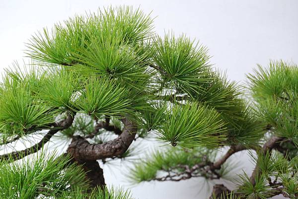 DSC_6867.jpg DSC_6867.jpg