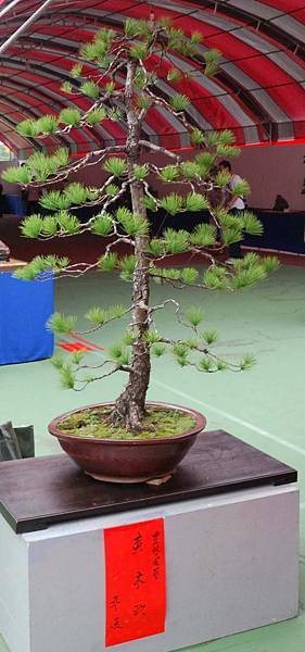 DSC_6869.jpg DSC_6869.jpg