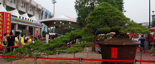 DSC_6870.jpg DSC_6870.jpg