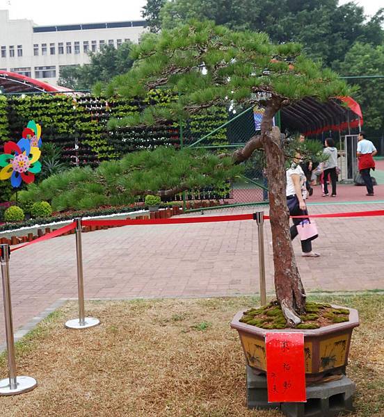 DSC_6874.jpg DSC_6874.jpg