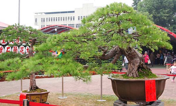 DSC_6872.jpg DSC_6872.jpg