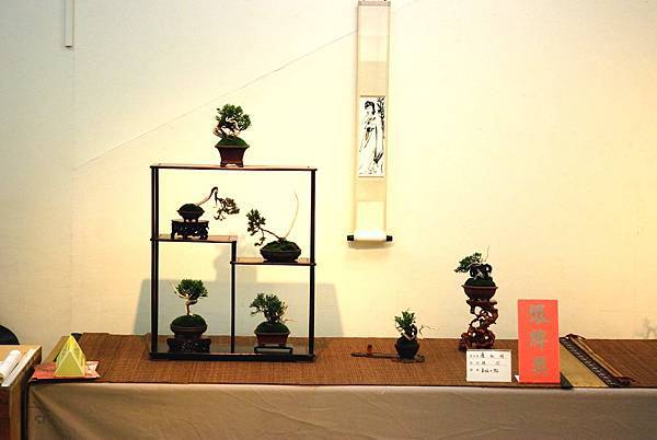 DSC_7374.jpg DSC_7374.jpg