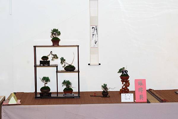 DSC_7376.jpg DSC_7376.jpg