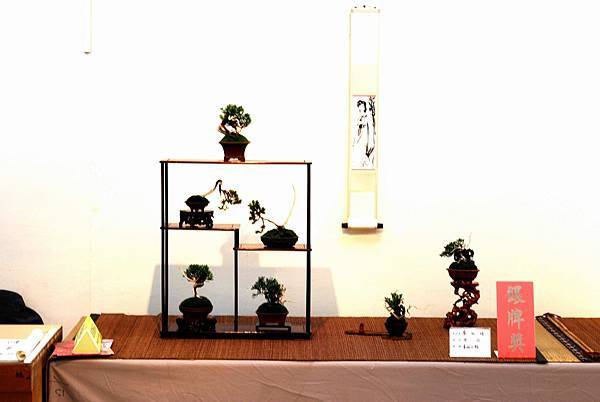 DSC_7375.jpg DSC_7375.jpg