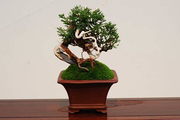 DSC_7380.jpg DSC_7380.jpg