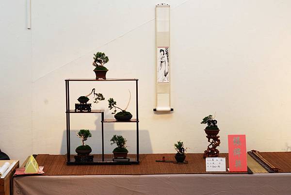 DSC_7377.jpg DSC_7377.jpg