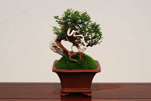 DSC_7378.jpg DSC_7378.jpg